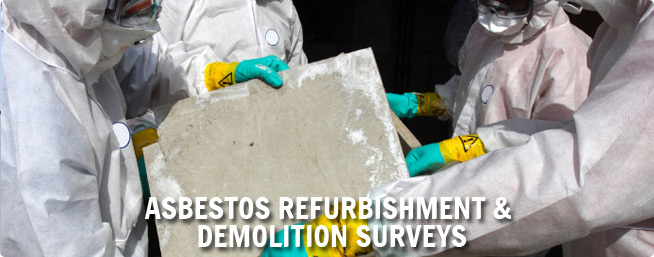 Asbestos + Removal Surveying
